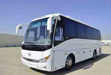 Party Bus - 35 seater