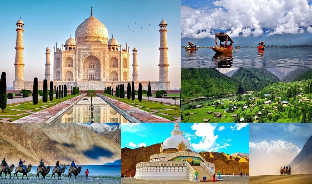 Which is the Best Tour Company in India?
